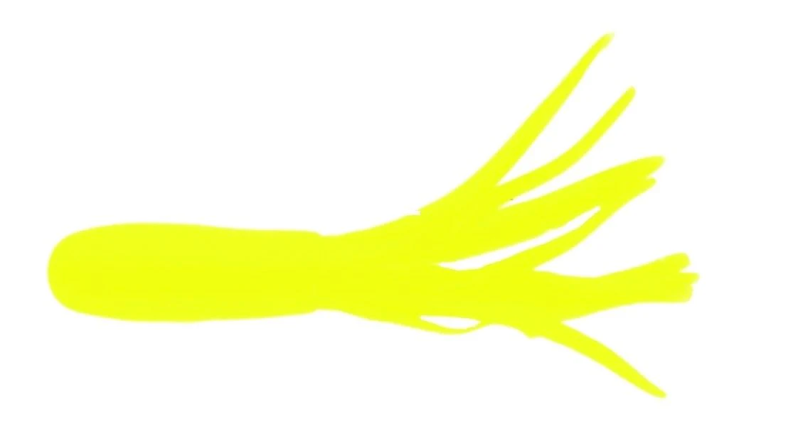Thumbnail 12